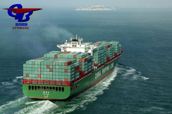 Service d'expédition Capacité douanière Importation et dédouanement de et vers l'Europe avec un approvisionnement total de 8000-10000 kg