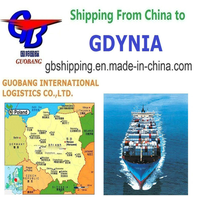 Obtenez les meilleurs services d'expédition de Gdynia Service à guichet unique pour la réservation pour le dédouanement et à bord