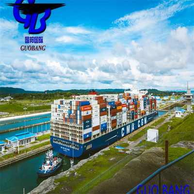 Services d'expédition de Shanghai/Shenzhen/ à Amsterdam Hollande Service à guichet unique Réservation-reprise-dépôt en douane à bord