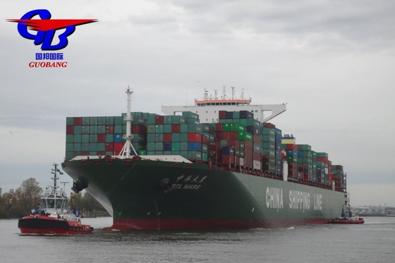 Transport de fret général de à Jebel Ali Transport maritime avec un service compétitif et optimal