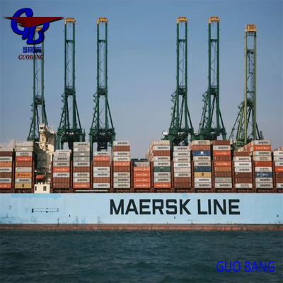 Type d'expédition FCL et LCL Services de transport maritime de Paranagua à Paranagua 500teu/mois