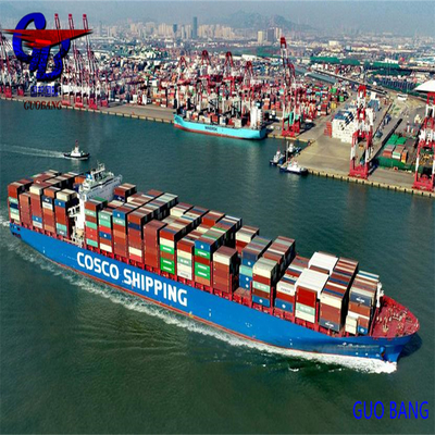 Transport maritime professionnel de à Maracaibo, Venezuela, avec dédouanement abordable