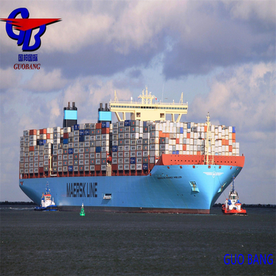 Transport maritime professionnel de à Maracaibo, Venezuela, avec dédouanement abordable