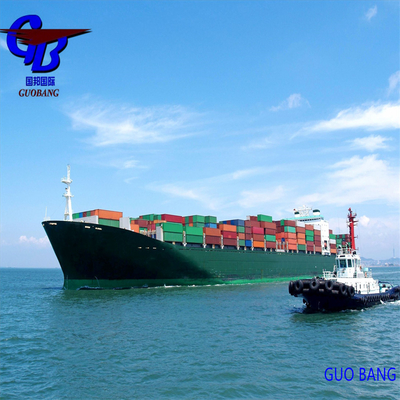 Transport maritime professionnel de à Maracaibo, Venezuela, avec dédouanement abordable