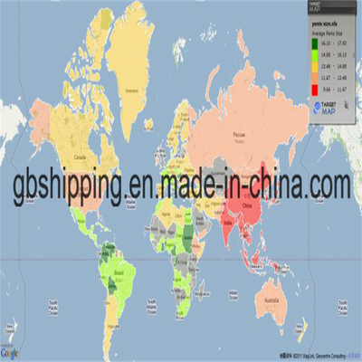 Service d'expédition rapide et abordable Fret aérien et maritime LCL FCL Courrier de vers Émirats arabes unis Moyen-Orient