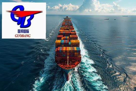 Obtenez la meilleure offre sur le fret maritime FCL de l'Indonésie 12 jours Temps de transit Total de l'approvisionnement 1000-10000