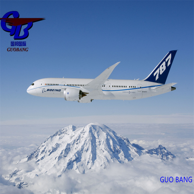Guobang Airfreight Service Complet de Réservation - Enlèvement - Dédouanement - Embarquement pour Expédition Aérienne De à Lyon depuis Guobang