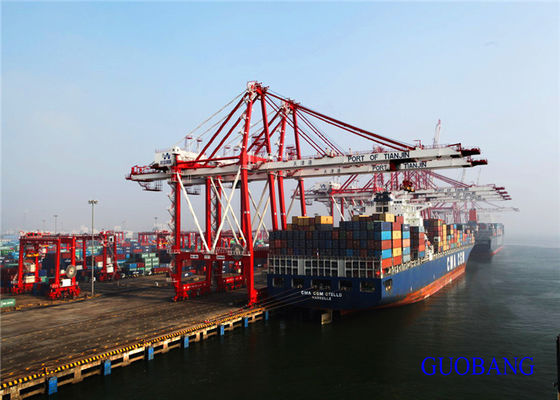 Le meilleur expéditeur international / transport maritime de la Chine à la Jamaïque/KINGSTON