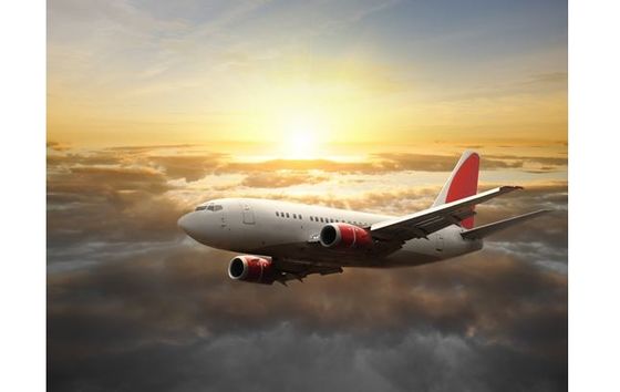 Formulaire de transitaire international de fret de Chine vers NEW DELHI/NHAVA SHEVA/KARACHI/BOMBAY, etc.