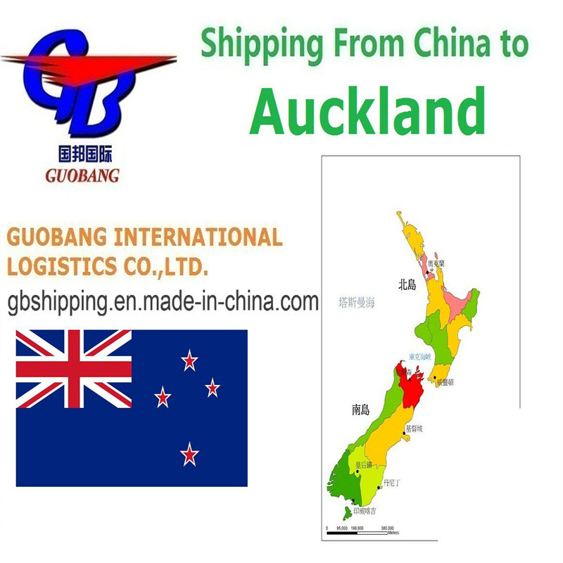 Réservation de service unique - Prise en charge - Dédouanement - À bord Meilleurs services d'expédition De à Auckland