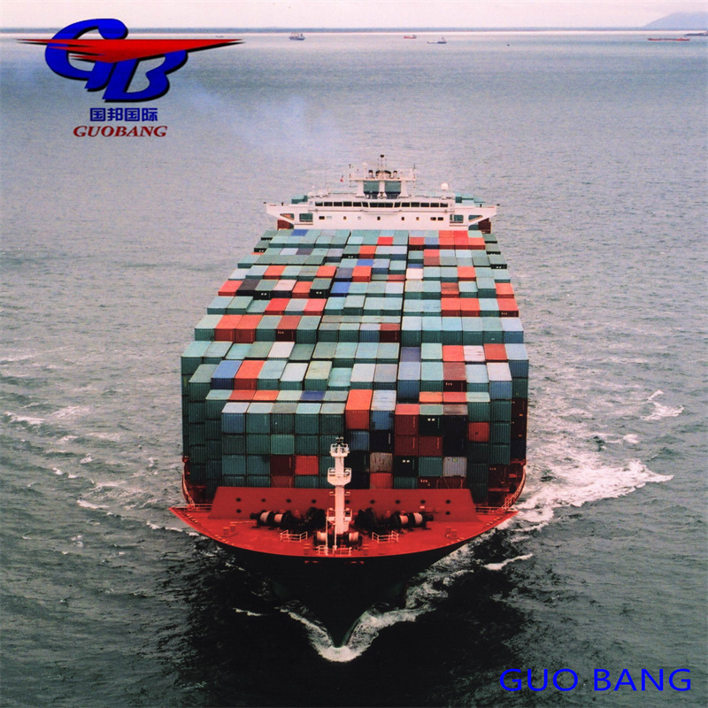 Service d'expédition Capacité douanière Importation et dédouanement de et vers l'Europe avec un approvisionnement total de 8000-10000 kg