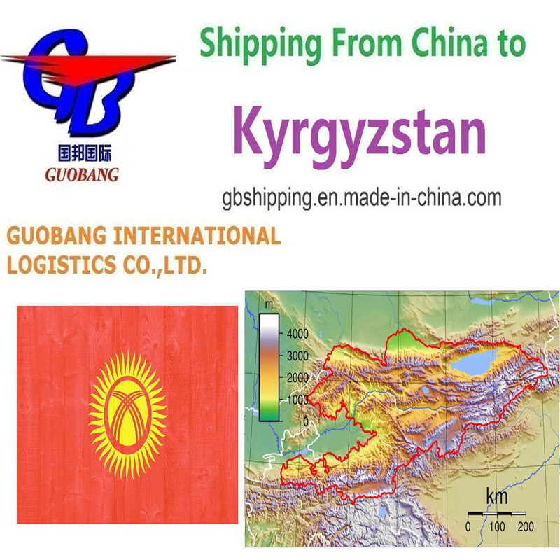 Service supplémentaire quotidien de départ Co/Fa/Fe/FF pour les meilleurs services maritimes au Kirghizistan