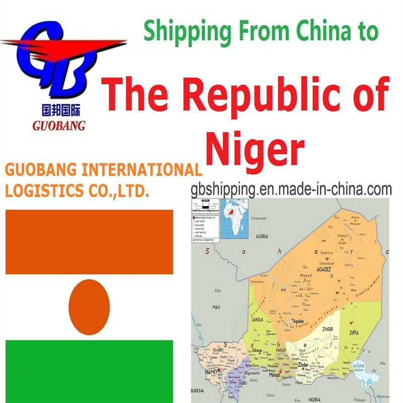 Transport aérien de marchandises générales au départ de la République du Niger avec CZ Services de transport aérien