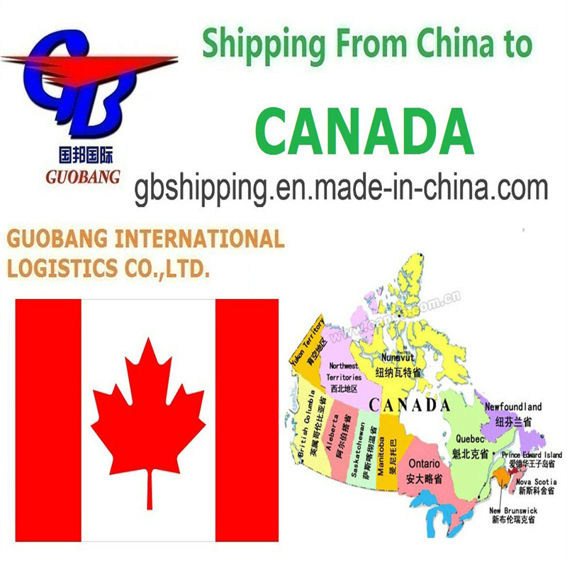 Total de l'offre 1000teu/mois Services d'expédition depuis le Canada Service à guichet unique Réservation-pick-up-dédouanement-à bord