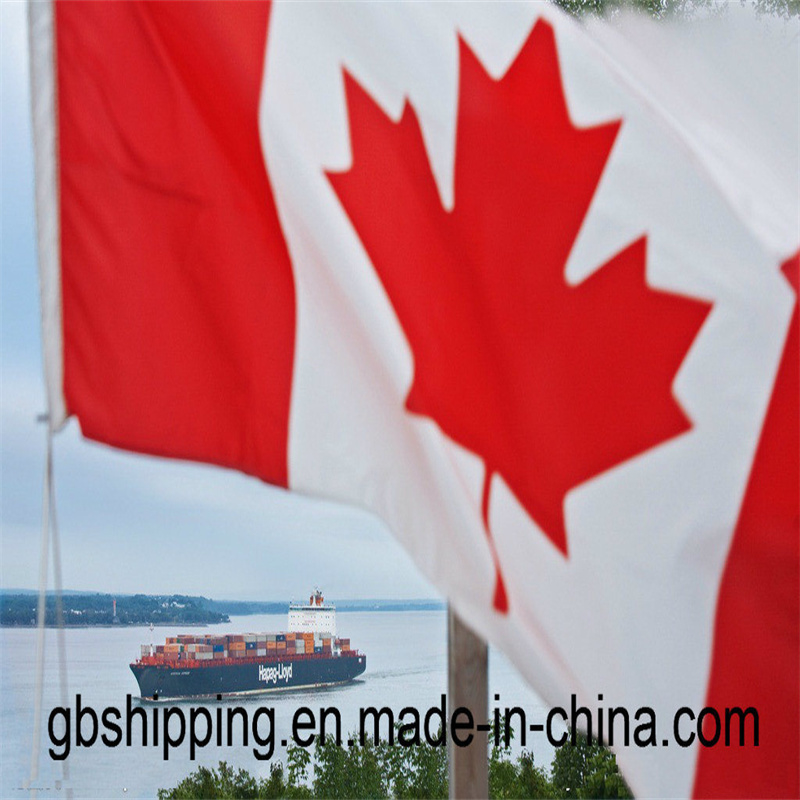 Service de suivi en ligne 24 heures sur 24 fourni par des experts pour le fret aérien / maritime vers le Canada, des formulaires aux documents