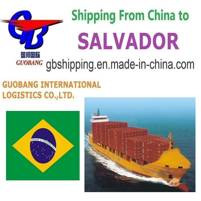 Services d'expédition maritime de à Salvador Dédouanement pour Réservation-Enlèvement-Dédouanement-À bord