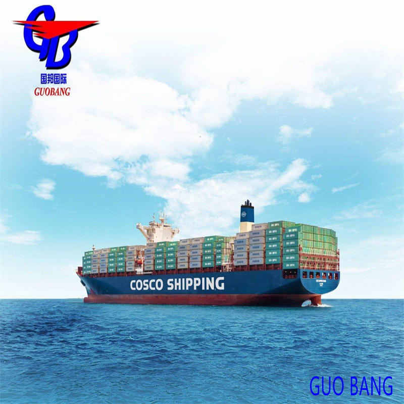 Services de navigation maritime quotidienne au départ de Montevideo avec dédouanement rapide et pratique