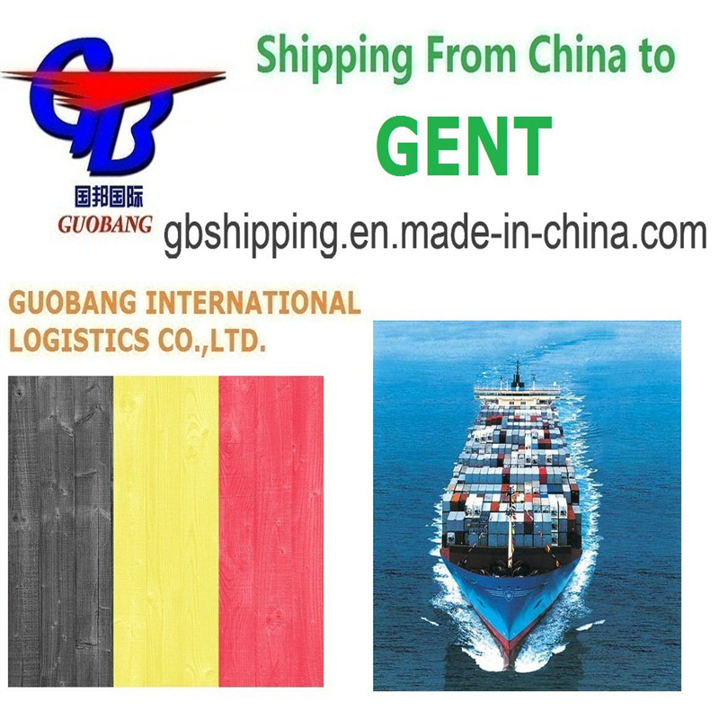 Meilleur service d'expédition de Gent en Belgique personnalisation service à guichet unique pour la réservation et le dédouanement à bord