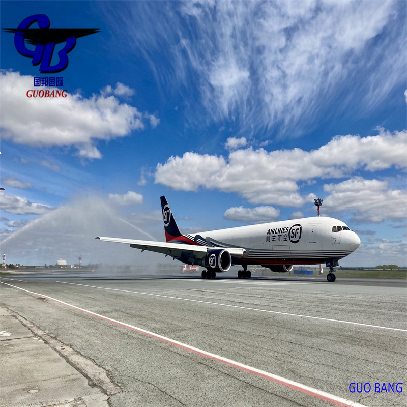 Service de fret aérien sécurisé vers les Antilles néerlandaises CIQ/CO/FORM A/ SOSA/CCPIT VÉRIFIÉ par International Aviation Service