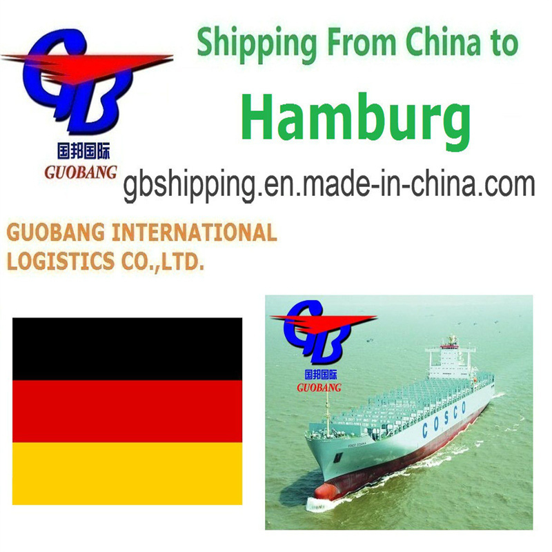 Travaux de ramassage des fournisseurs vers les ports/entrepôts Services professionnels et fiables de conteneurs maritimes de Hambourg à Hambourg