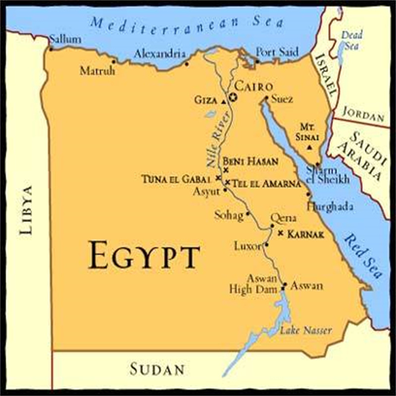 Expédition de l'Égypte par voie maritime FCL et LCL Type d'expédition avec service express abordable