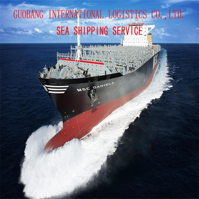 Service de transport maritime vers l'Argentine Départ quotidien par mer Air Fret maritime LCL FCL Courrier