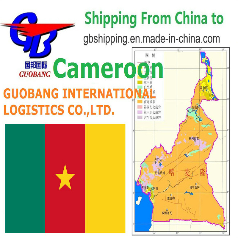Transport de marchandises des fournisseurs au port/entrepôt. Expédition vers le Cameroun par voie aérienne ou maritime (APL).