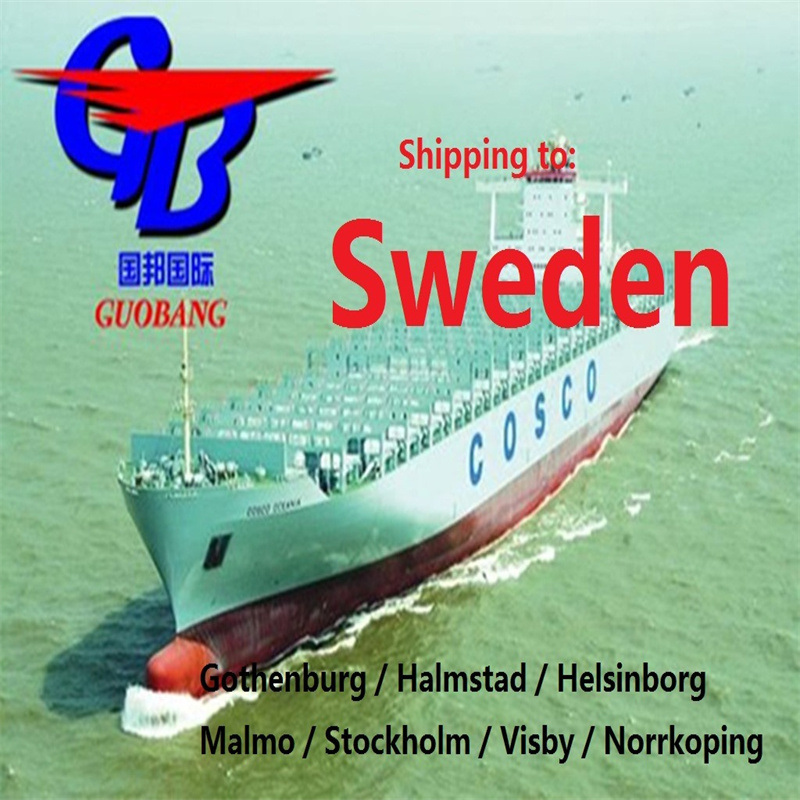 Frais maritimes de Suède Le meilleur service avec un approvisionnement total de 8000 à 10000 kg et une capacité douanière