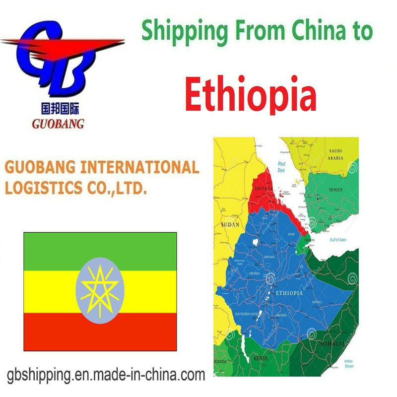 40GP Services de fret aérien en conteneurs de l'Éthiopie au rapport SGS inclus pour assurer la livraison en temps opportun