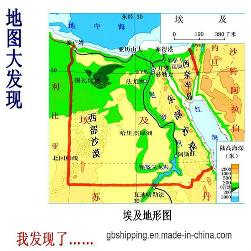 Expédition rapide et abordable de à Égypte Air Freight Mer LCL FCL CIQ pour un dédouanement en douceur