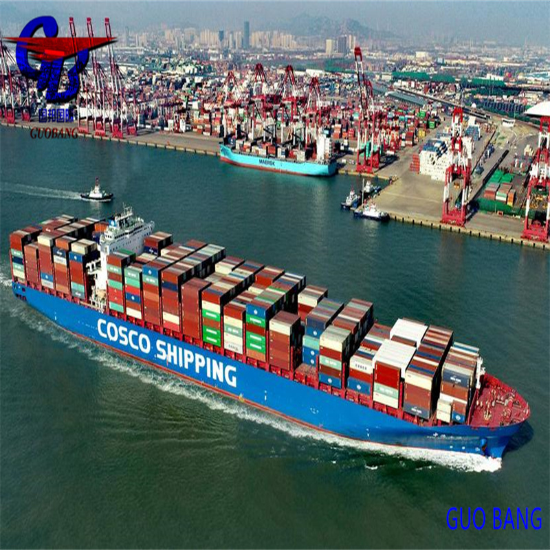Transport maritime professionnel de à Maracaibo, Venezuela, avec dédouanement abordable
