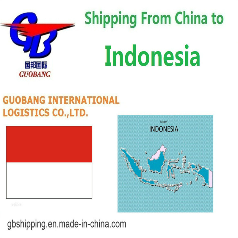 DDP Services maritimes en provenance et à destination de l'Indonésie avec Co/Fa/Fe/FF supplémentaire par Guobang Airfreight -Asie