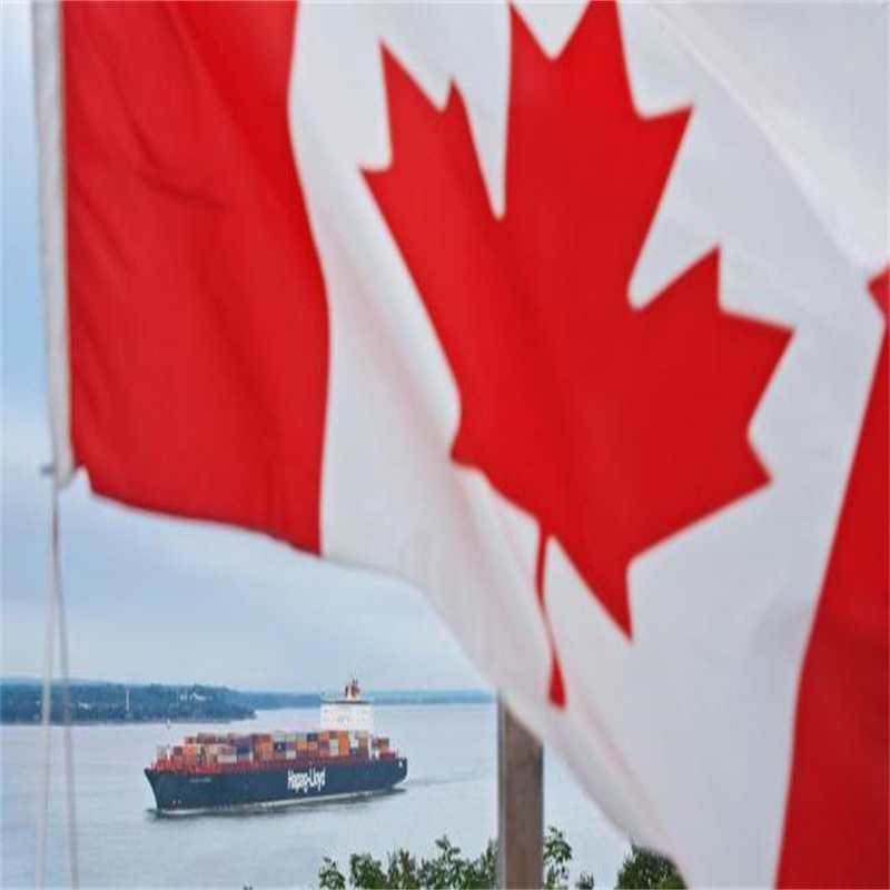 Transport de marchandises des fournisseurs au port/entrepôt Solutions de transit de fret fiables de Shanghai/Shenzhen vers le Canada