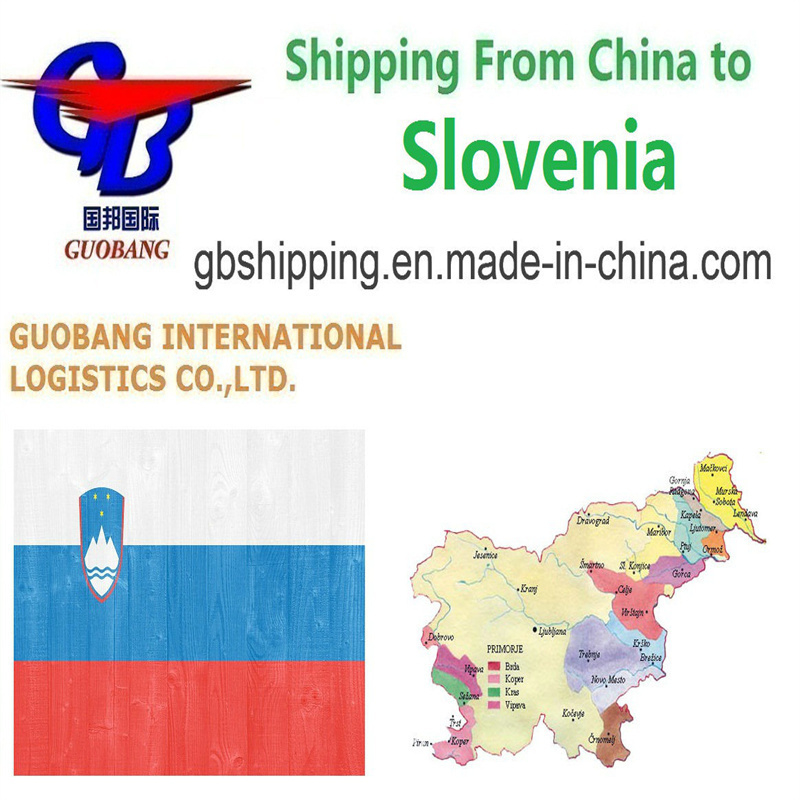 Guobang Frais aériens Rapides et camionnage de ramassage des fournisseurs au port/entrepôt pour les services de transport aérien de la Slovénie vers la Slovénie