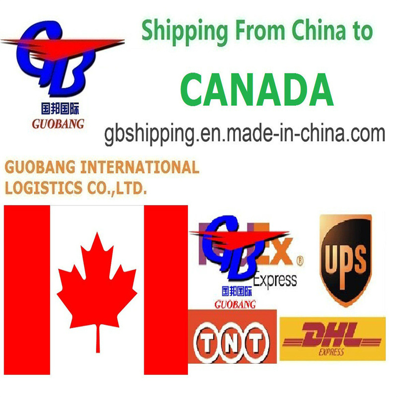 Un guichet unique pour la réservation, le ramassage, le dédouanement à bord, le service de messagerie de l'aviation internationale au Canada