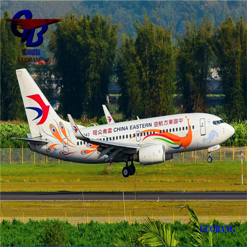 Fret aérien de /Shenzhen/HK à Bremen International Aviation Service avec courtage en douane et dédouanement