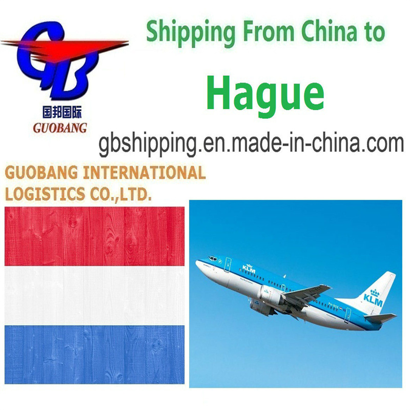 Services d'expédition aérienne De à La Haye Personnalisation pour Fret aérien et maritime LCL FCL Courrier